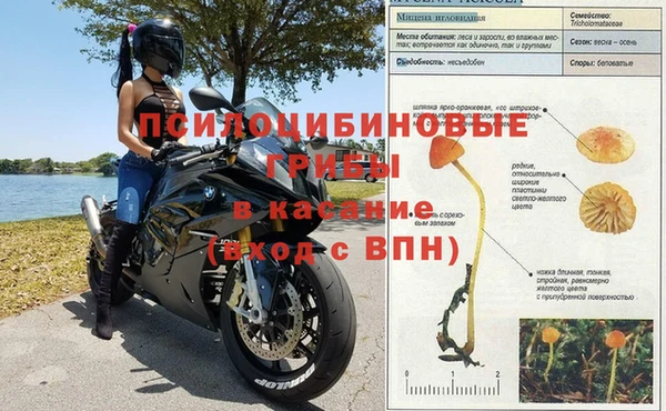 ПСИЛОЦИБИНОВЫЕ ГРИБЫ Ветлуга