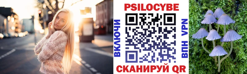 Псилоцибиновые грибы Cubensis  Городец 