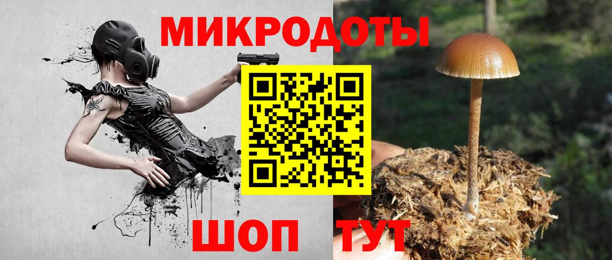 Галлюциногенные грибы GOLDEN TEACHER Городец