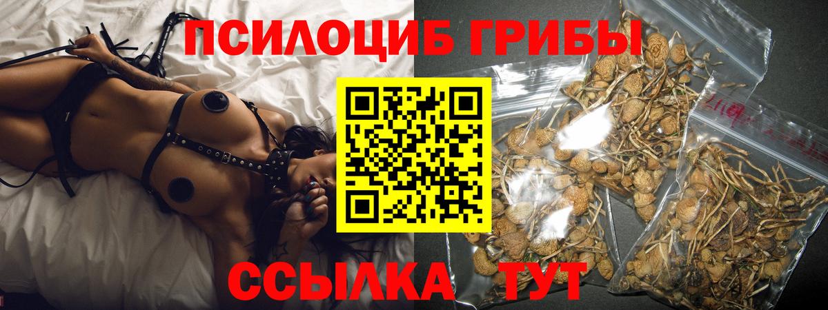Псилоцибиновые грибы MAGIC MUSHROOMS  Городец 