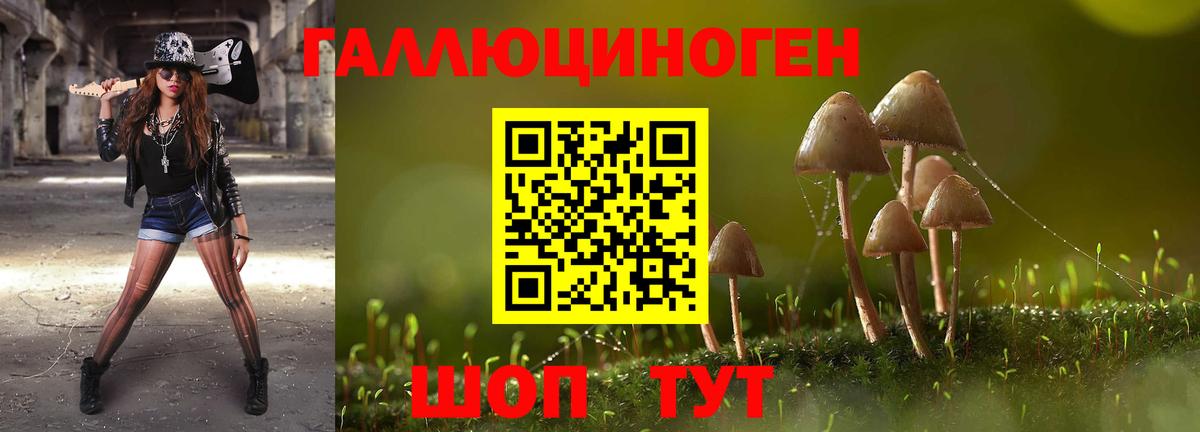 Псилоцибиновые грибы мицелий  Вход с VPN  Городец 