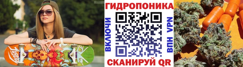 Бошки марихуана OG Kush Городец